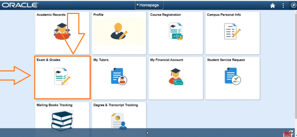 How can I check my AIOU 2024 result?