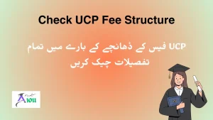 UCP Fee Structure